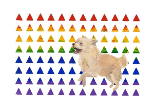 rainbowdog